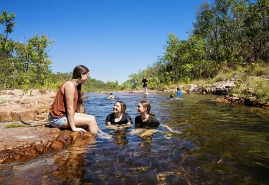Darwin: Litchfield National Park Waterfalls & Wildlife Tour AUD 153.11