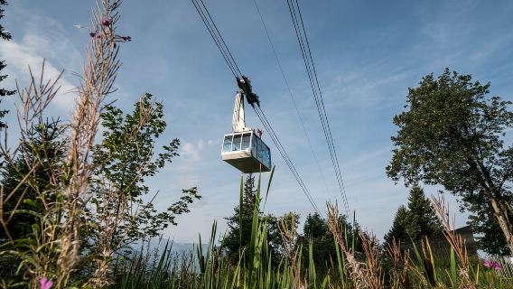 Ab Luzern: Tagesausflug zum Rigi mit Schifffahrt und Seilbahn