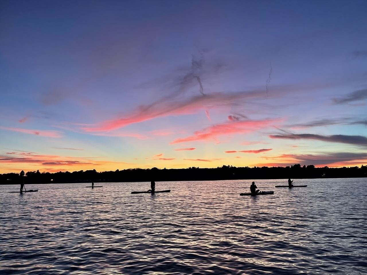 빅토리아: 해양 야생 동물 가이드 SUP 어드벤처