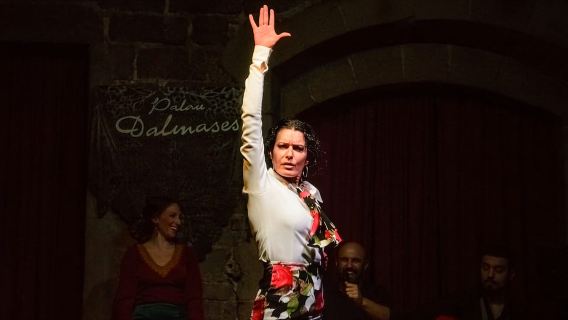 Barcelona: Tapas dan Anggur dengan Pertunjukan Flamenco di Kota Tua