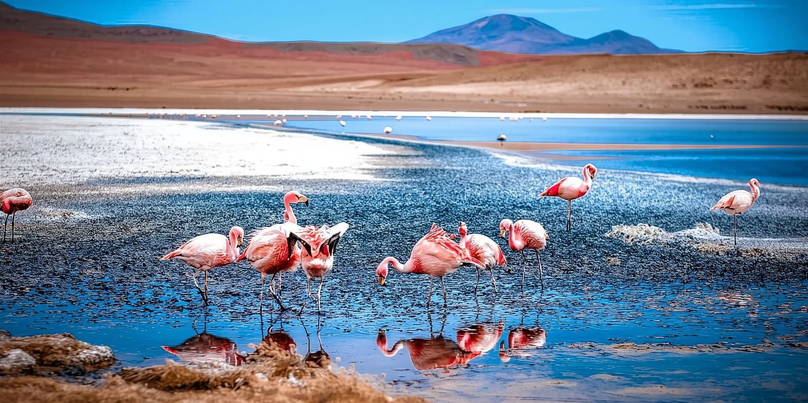 Excursion d'une journée à San Pedro de Atacama : désert d'Atacama et salars