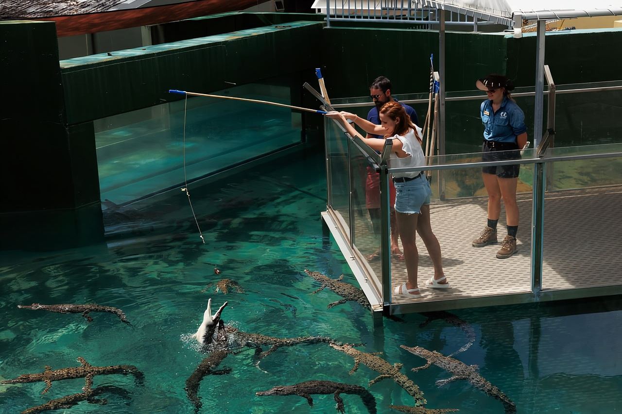 Darwin: VIP Crocosaurus Cove Experience