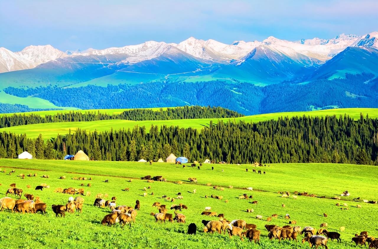 [Xinjiang Premium Business Tour] Multilingual guides (English, French, Russian, German, Japanese, Korean) | Urumqi/Kanas/Ili/Southern Xinjiang/Northern Xinjiang | 24-hour airport pick-up + premium service