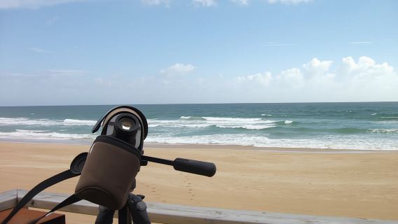 Alvor dunes birdwatching tour