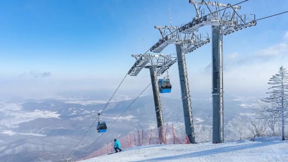 Le rêve d'une journée à Harbin pour les petites pommes de terre du sud | Ski à Yabuli & traîneau tiré par des chevaux/jeux dans la neige/& sources chaudes enneigées (circuit de plusieurs jours personnalisable en contactant le service clients)