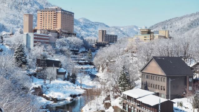 日本東京｜大阪｜京都｜北海道｜自由行地陪｜地接｜中文翻譯｜徒步導遊｜展會翻譯｜AY