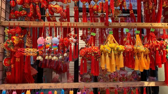 New York|Visite guidée française de Greenwich Village à travers Chinatown