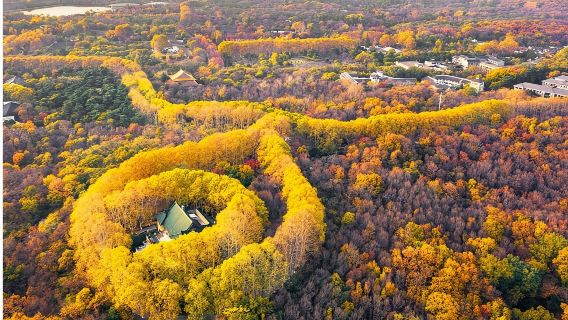 Business-Van | Englischsprachiger Reiseleiter | Präsidentenpalast + Sun-Yat-sen-Mausoleum + Meiling-Palast + Konfuzius-Tempel + Zhan-Garten