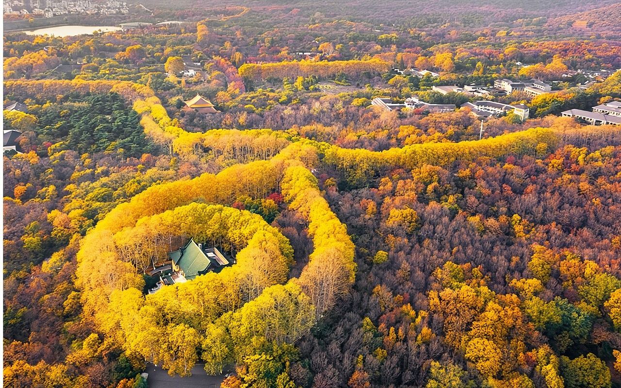 Véhicule commercial | Guide touristique en anglais disponible | Palais présidentiel + Mausolée de Sun Yat-sen + Palais de Meiling + Temple de Confucius + Jardin Zhan