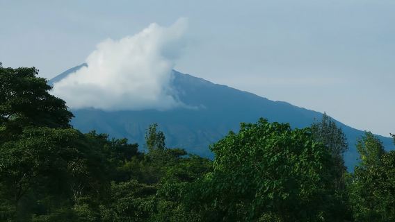 Dari Arusha: Tur Sehari Jalan Kaki Budaya Marangu dengan Pemandu, Suku Chaga