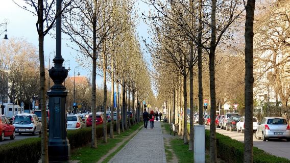Однодневный тур по Будапешту, Венгрия: Здание венгерского парламента + проспект Андраши + Мост Свободы