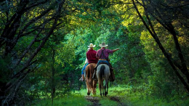 Waco: Sunset Horseback Ride