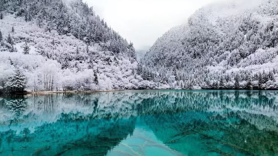 Jiuzhaigou Chartered Car - [Pick-up from Huanglong Jiuzhaigou Station | Songpan Station - Jiuzhaigou Scenic Area] Comfortable Travel