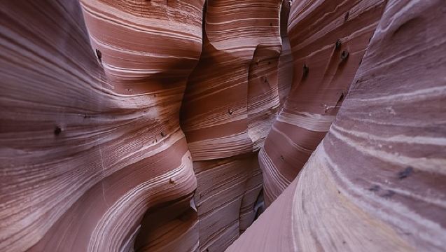 From Escalante: Zebra Slot Canyon Guided Tour and Hike