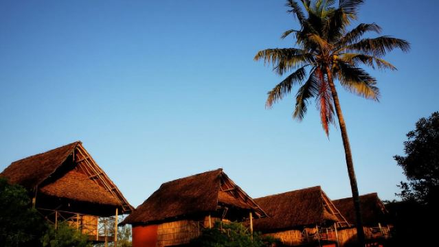 坦尚尼亞全境 地陪 旅行導遊 商務翻譯/私人定制/自由行地接