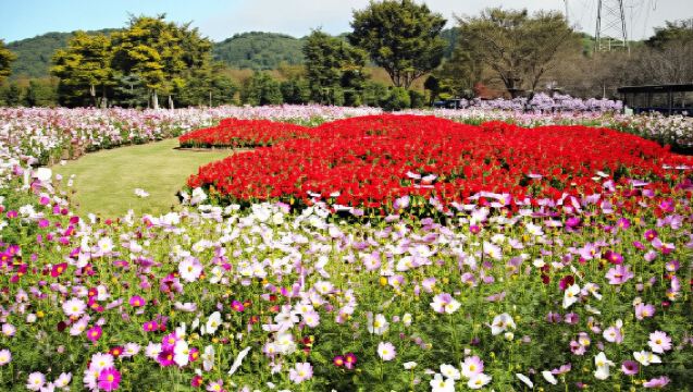 農業公園信貴山のどか村