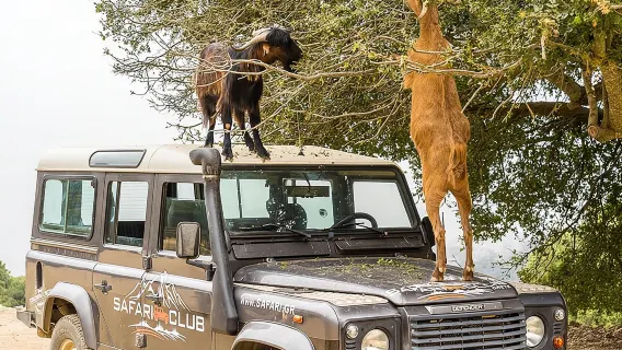Full-Day Land Rover Safari from Heraklion with Lunch