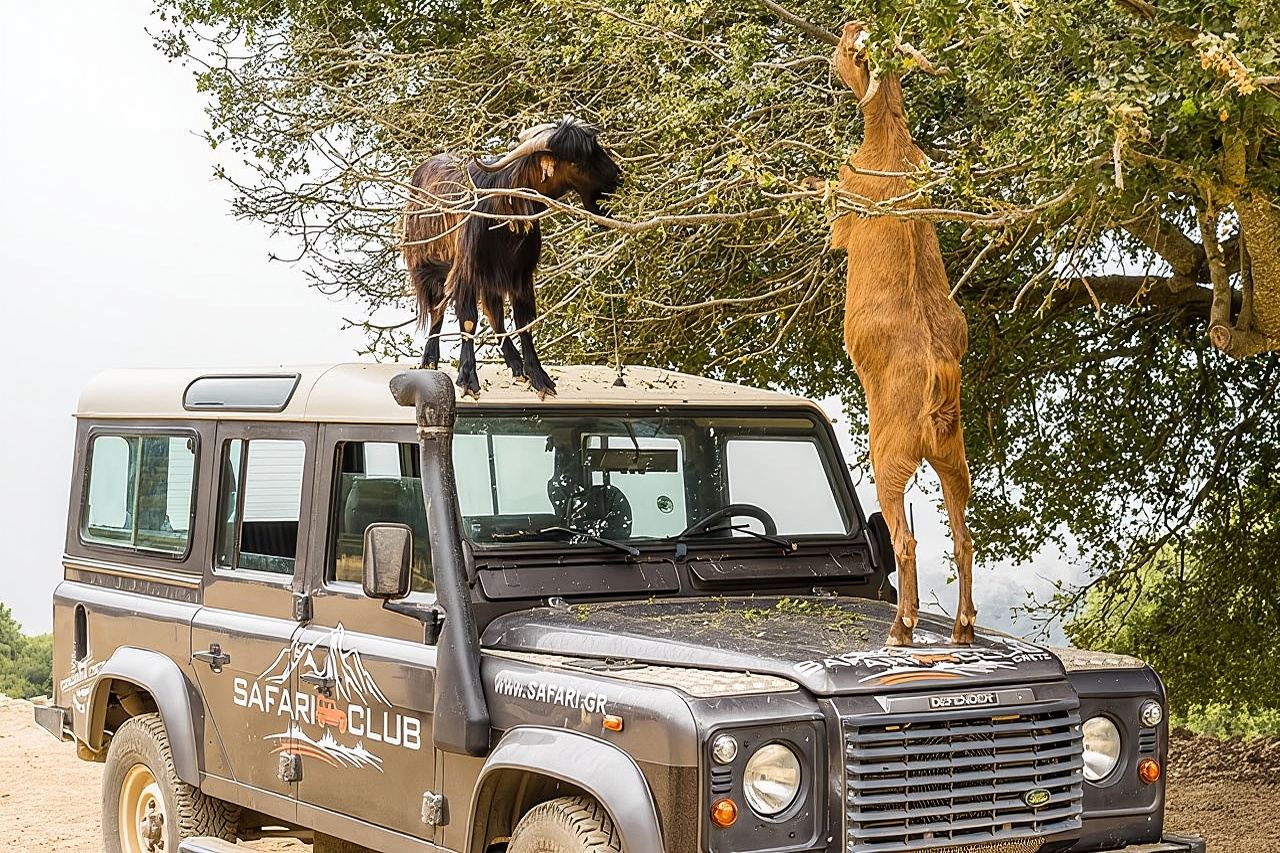 Full-Day Land Rover Safari from Heraklion with Lunch