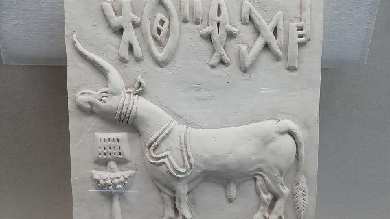 Day trip from Ahmedabad to Lothal, 4500 year old Indus Valley Civilization