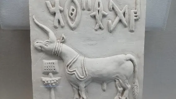 Excursion d'une journée d'Ahmedabad à Lothal, civilisation de la vallée de l'Indus vieille de 4500 ans