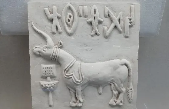 艾哈邁達巴德出發前往Lothal嘅一日遊，探索4500年歷史嘅印度河谷文明