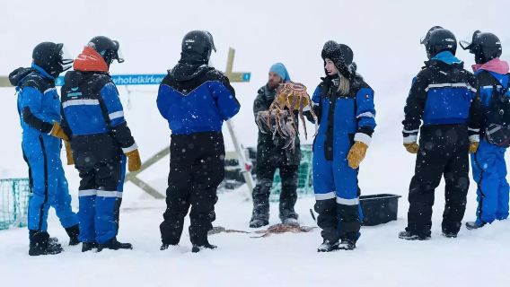 Expérience de pêche au crabe royal en Norvège (option dégustation de crabe royal à Tromsø + départ de Kirkenes ou de plusieurs endroits dans le nord de la Finlande)