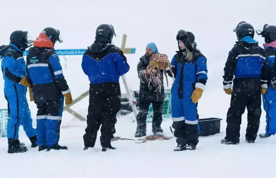 挪威帝王蟹捕撈活動體驗之旅（可選特羅姆瑟品嚐帝王蟹+希爾克內斯或芬蘭北部多地出發）