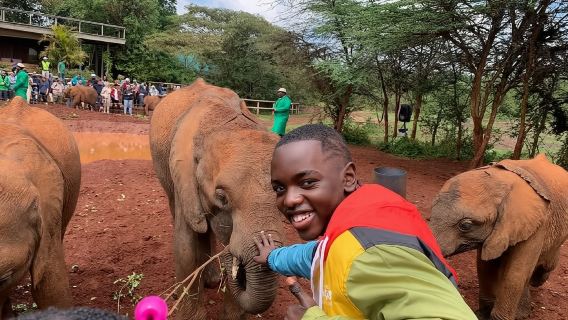 Kenya Nairobi Elephant Orphanage + Giraffe Center + Karen House Half Day Tour (1 person or more)