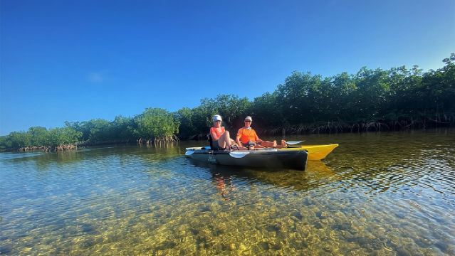 Mangrove Tunnel Kayak Avontuur in Key Largo