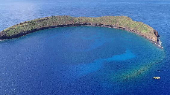 5 Hour Molokini Snorkel & Turtle Tour in Maui