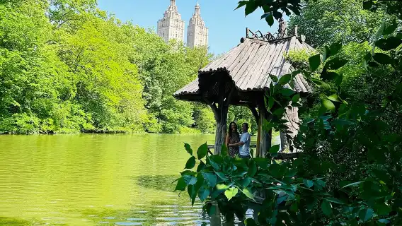 NYC Central Park guided Pedicab Tour - 1 hour