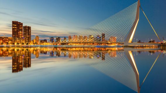 From Amsterdam: Private day trip to Rotterdam and back