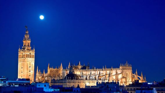Seville: Tour tham quan Nhà thờ Seville có hướng dẫn về đêm và chương trình biểu diễn ánh sáng