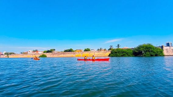 Cartagena: tour in kayak con guida e vista sull'oceano