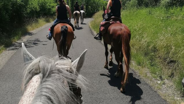 Vergato: Horseback Ride through the Emilian Hills