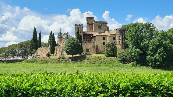 Luberon: Full-Day Wine Tour from Marseille