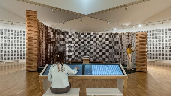 Территория Договора Вайтанги: двухдневный пропуск