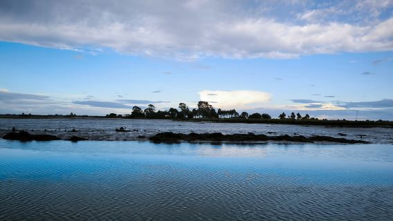 Aveiro: Ria Highlights Boat Tour