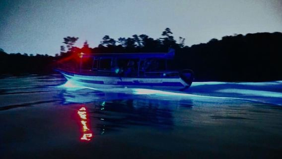 Kuala Lumpur: Fireflies & Blue Tears Tour with Seafood Meal