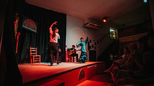Granada: Flamenco Show in La Alboreá Day Tours