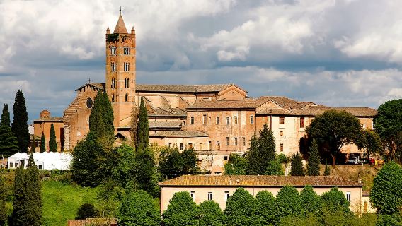 Guided walking tour of Siena with Cathedral