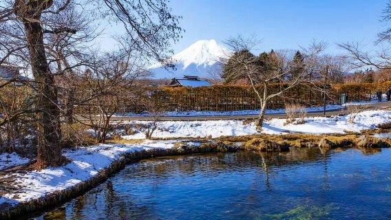 Tokyo|Torii Keamanan + Lembah Owakudani + Taman Oishi|Perjalanan sewaan peribadi boleh disesuaikan