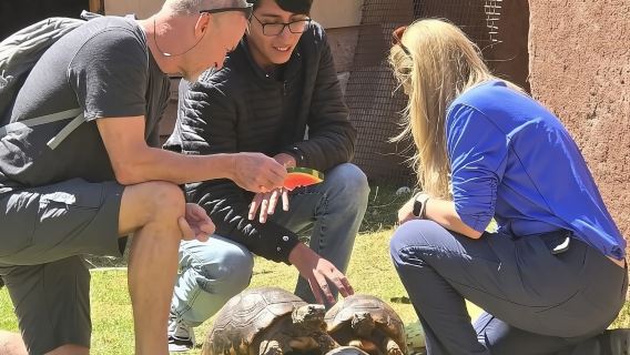 Cochahuasi Animal Sanctuary Admission Ticket