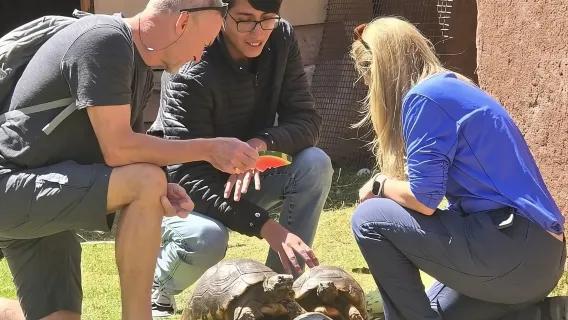 VIP Miglior Tour della Fauna Selvatica nel Santuario Ufficiale di Cochahuasi a Cuzco