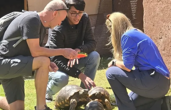 科查瓦西動物保護區門票