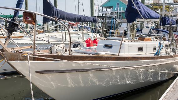 Intracoastal Waterway: Eco-tour