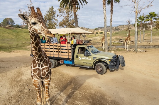 Tiket Pass 2 Kunjungan untuk Kebun Binatang dan Taman Safari San Diego