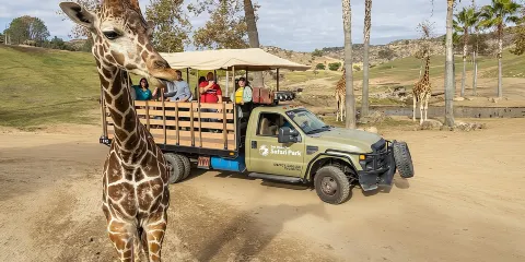 聖地亞哥動物園及野生動物園2次遊覽通行證門票