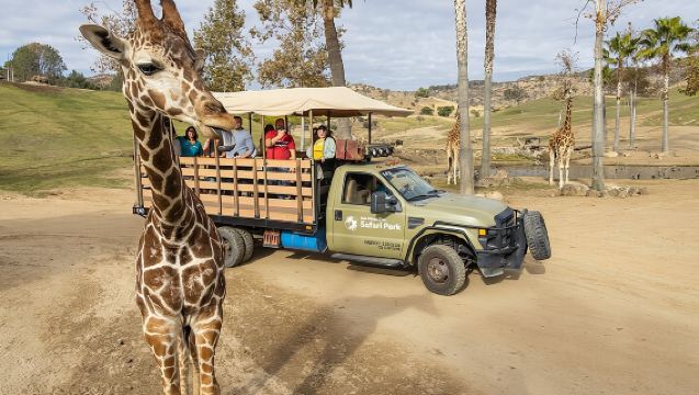 San Diego Zoo and Safari Park 2-Visit Pass Ticket