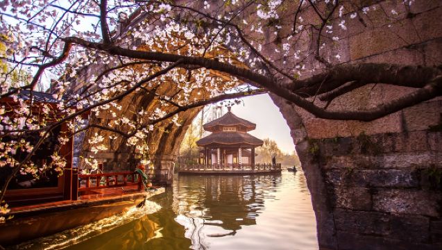 Hangzhou, China: Excursión de un día con servicio de coche privado con conductor | Grupo privado | Itinerario flexible | Guía multilingüe